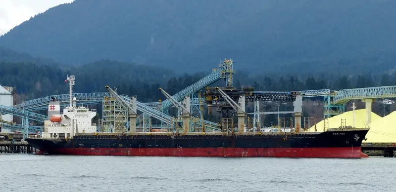 KEN HOU Bulk Carrier IMO 9293882 photo 3