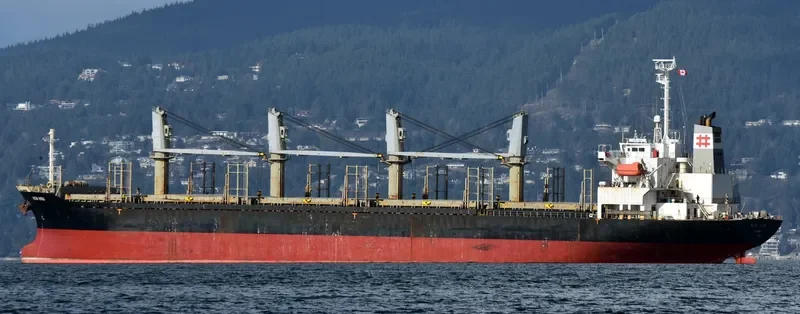 KEN HOU Bulk Carrier IMO 9293882 photo 8