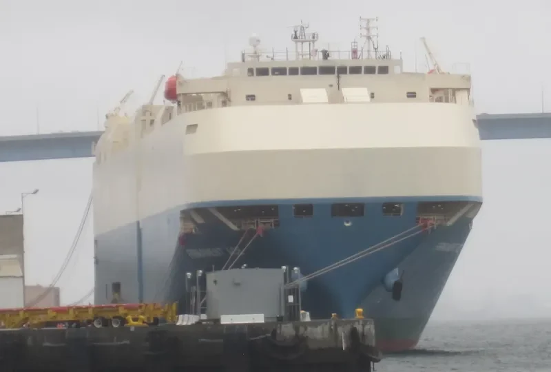 FIRMAMENT ACE General Cargo IMO 9293894 photo 8