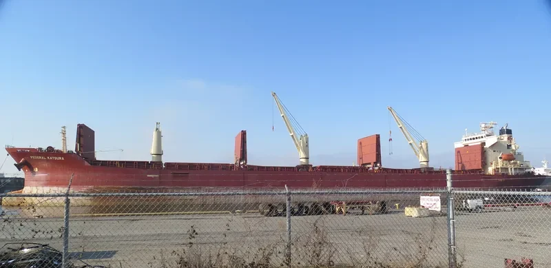 FEDERAL KATSURA Bulk Carrier IMO 9293923 photo 2