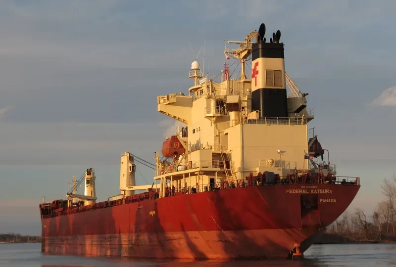 FEDERAL KATSURA Bulk Carrier IMO 9293923 photo 5