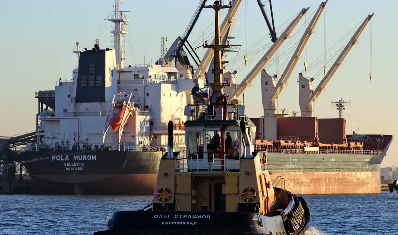 OLEG STRASHNOV General Cargo IMO 9294056 photo 4