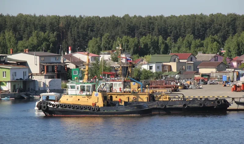 OLEG STRASHNOV General Cargo IMO 9294056 photo 5