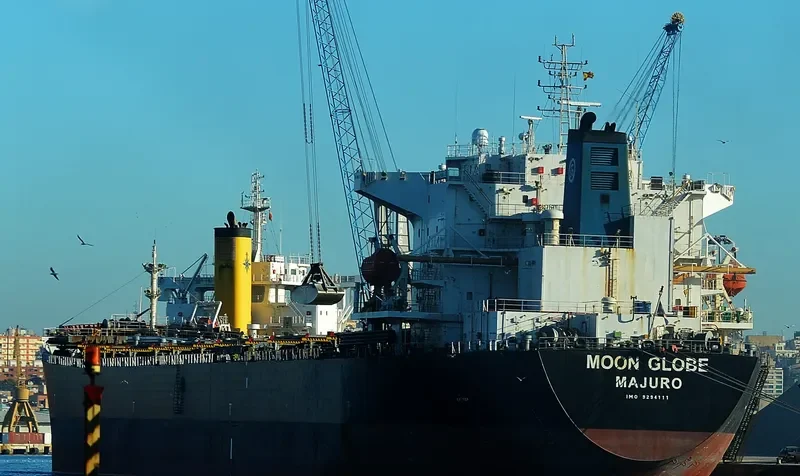 MOON GLOBE Bulk Carrier IMO 9294111