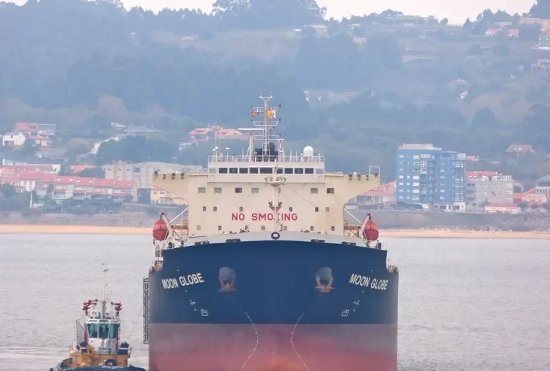 MOON GLOBE Bulk Carrier IMO 9294111 photo 3