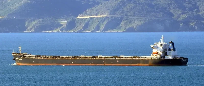 MOON GLOBE Bulk Carrier IMO 9294111 photo 8