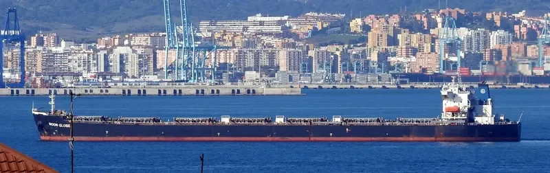 MOON GLOBE Bulk Carrier IMO 9294111 photo 9