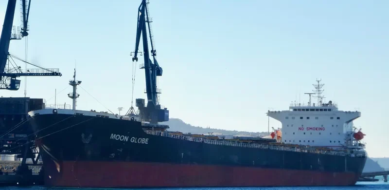 MOON GLOBE Bulk Carrier IMO 9294111 photo 10