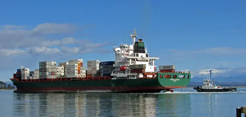 IRENES RESPECT Container Ship IMO 9294185