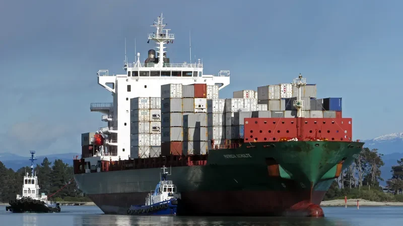 IRENES RESPECT Container Ship IMO 9294185 photo 2