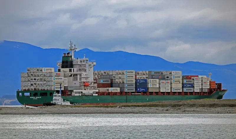IRENES RESPECT Container Ship IMO 9294185 photo 3