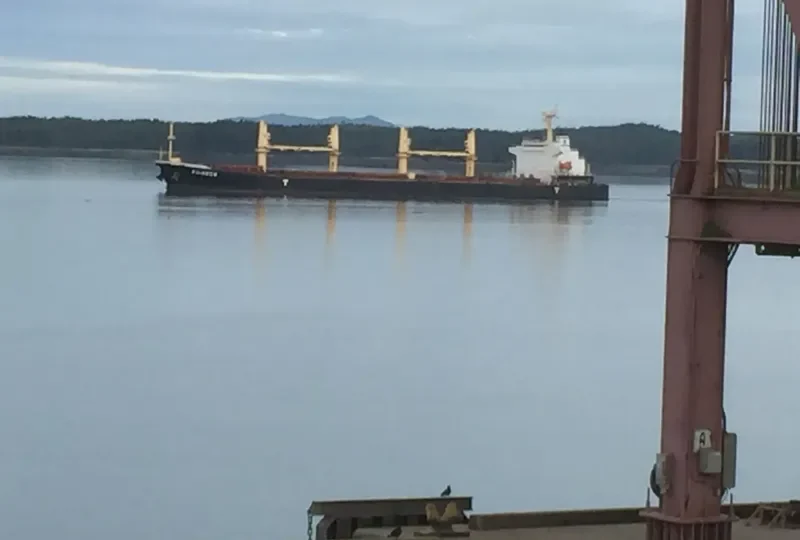 RAINBOW Bulk Carrier IMO 9294202