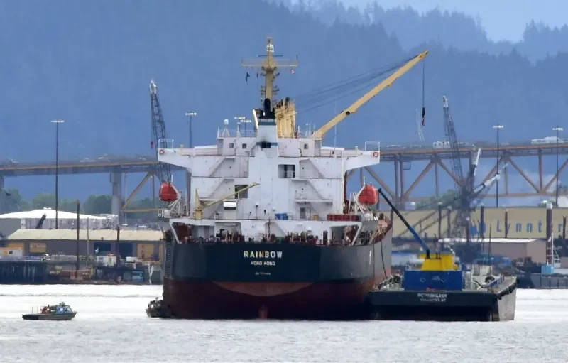 RAINBOW Bulk Carrier IMO 9294202 photo 2