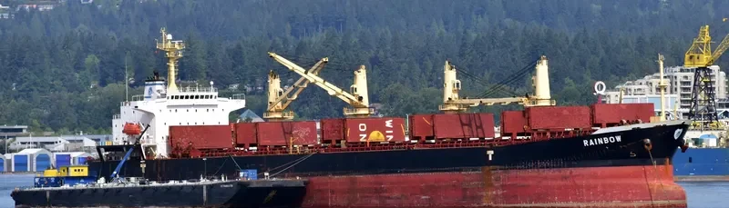 RAINBOW Bulk Carrier IMO 9294202 photo 3