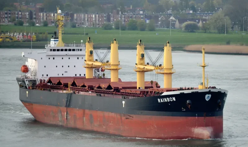 RAINBOW Bulk Carrier IMO 9294202 photo 5