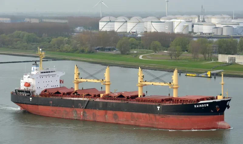 RAINBOW Bulk Carrier IMO 9294202 photo 6
