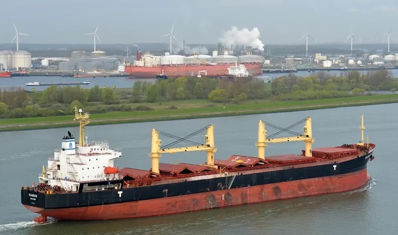 RAINBOW Bulk Carrier IMO 9294202 photo 7