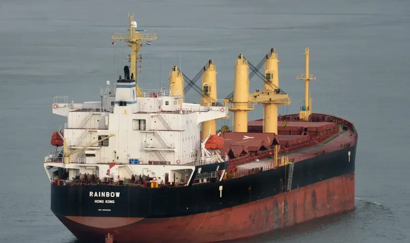 RAINBOW Bulk Carrier IMO 9294202 photo 8