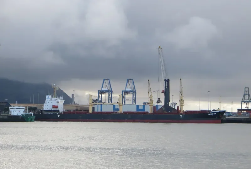 RAINBOW Bulk Carrier IMO 9294202 photo 9