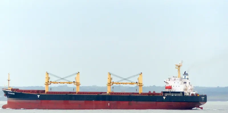 RAINBOW Bulk Carrier IMO 9294202 photo 10