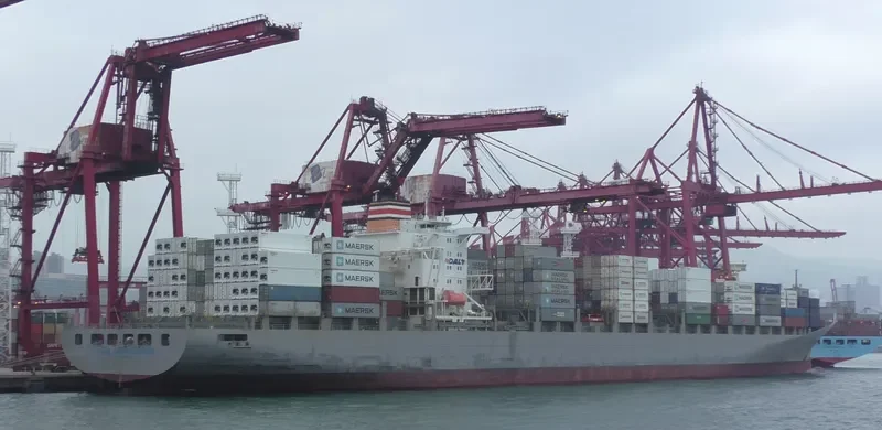 MAERSK LAUNCESTON Container Ship IMO 9294408 photo 3
