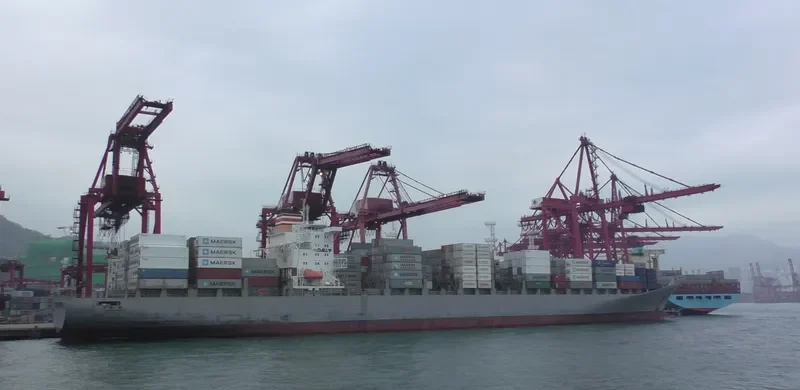 MAERSK LAUNCESTON Container Ship IMO 9294408 photo 4
