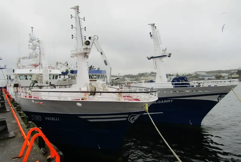 PACELLI General Cargo IMO 9294446 photo 2