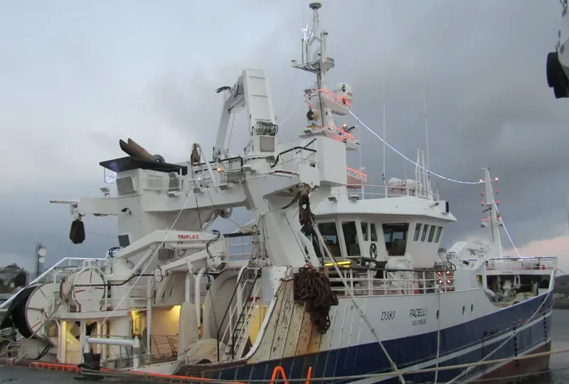 PACELLI General Cargo IMO 9294446 photo 4