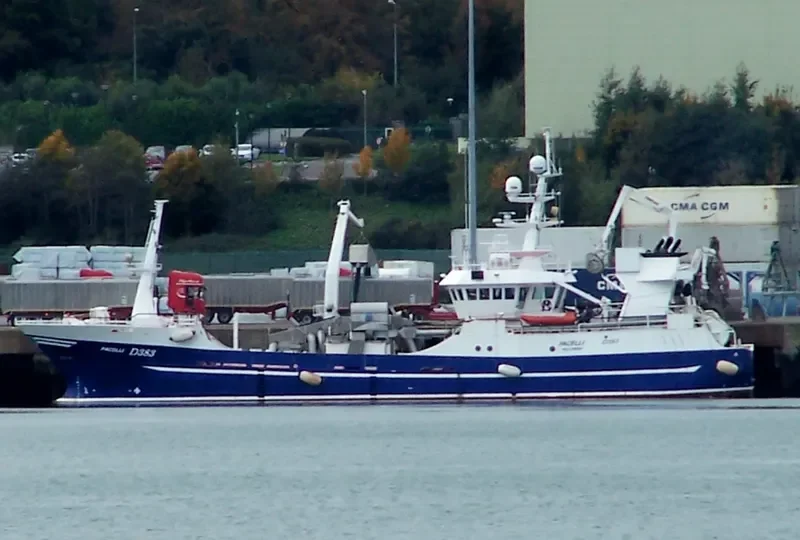 PACELLI General Cargo IMO 9294446 photo 5