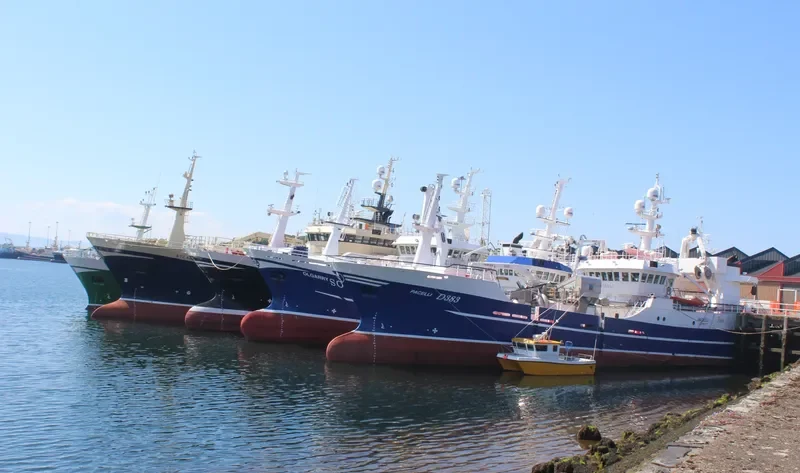 PACELLI General Cargo IMO 9294446 photo 6