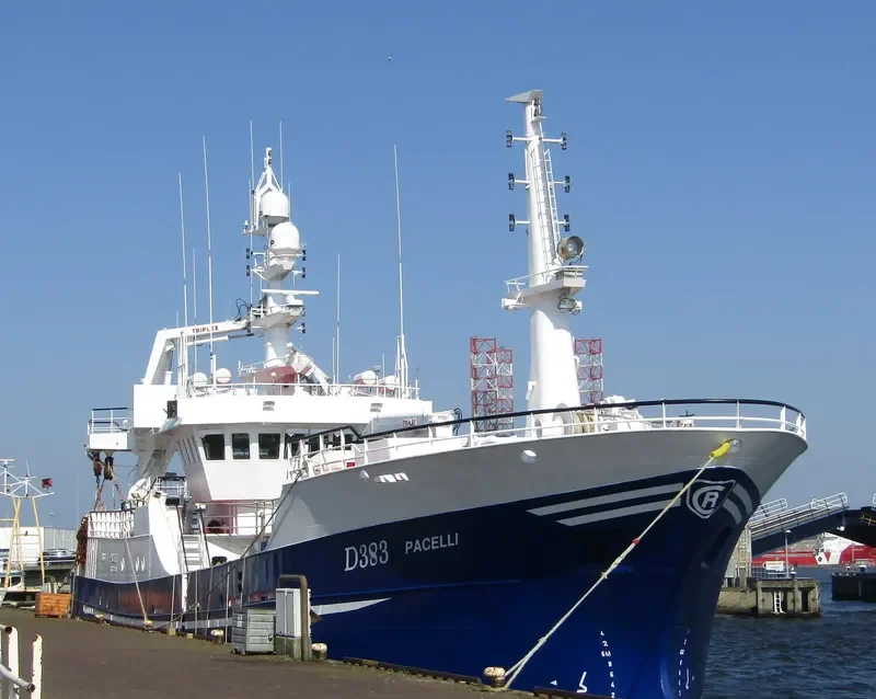 PACELLI General Cargo IMO 9294446 photo 7