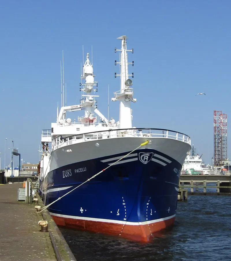 PACELLI General Cargo IMO 9294446 photo 8