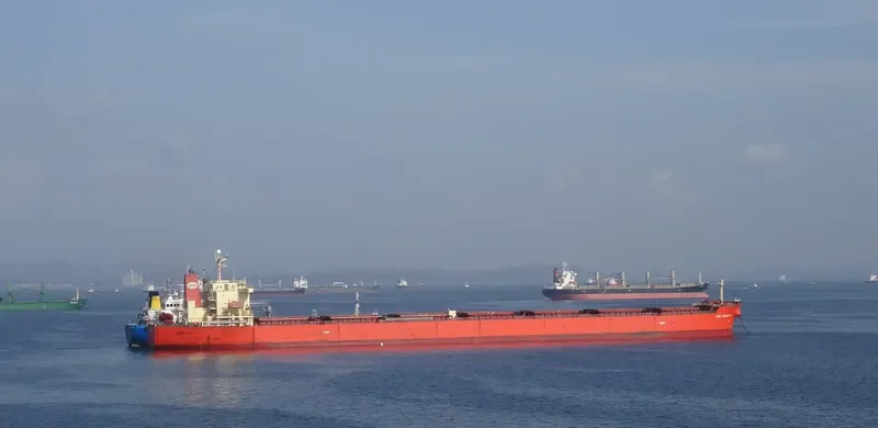 MINOAN DIGNITY Bulk Carrier IMO 9294484