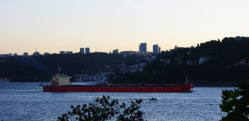 MINOAN DIGNITY Bulk Carrier IMO 9294484 photo 3
