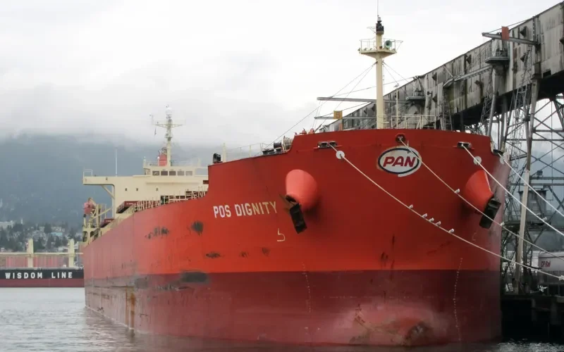 MINOAN DIGNITY Bulk Carrier IMO 9294484 photo 7