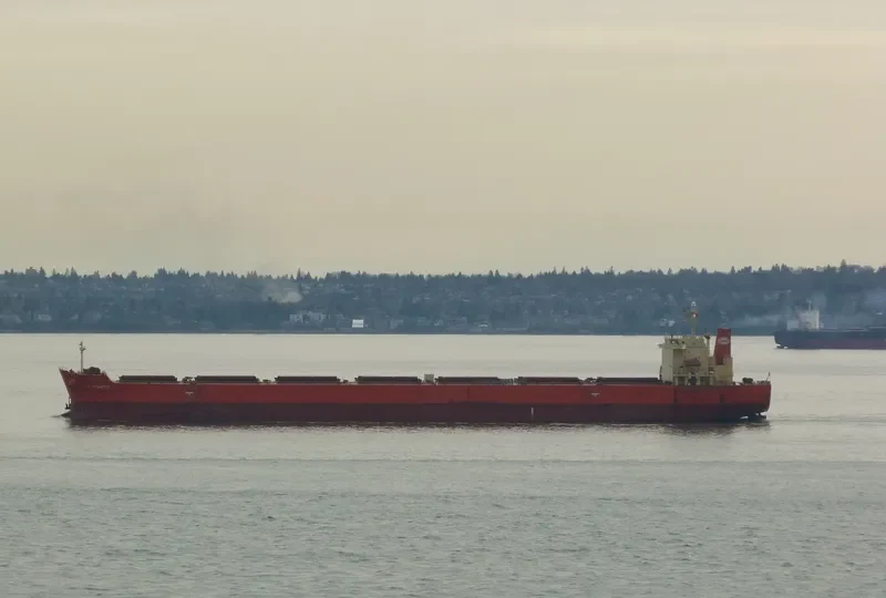 MINOAN DIGNITY Bulk Carrier IMO 9294484 photo 9