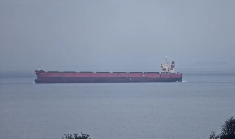 MINOAN DIGNITY Bulk Carrier IMO 9294484 photo 10