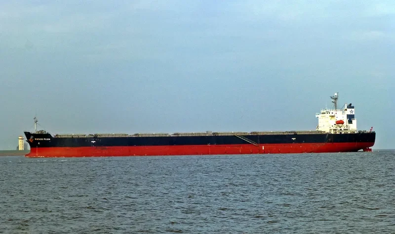 ROSCO PLUM Bulk Carrier IMO 9294496 photo 2