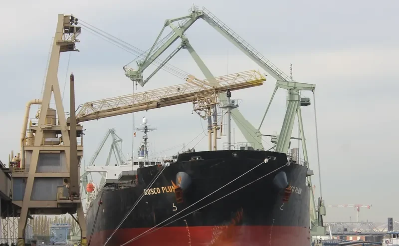ROSCO PLUM Bulk Carrier IMO 9294496 photo 3