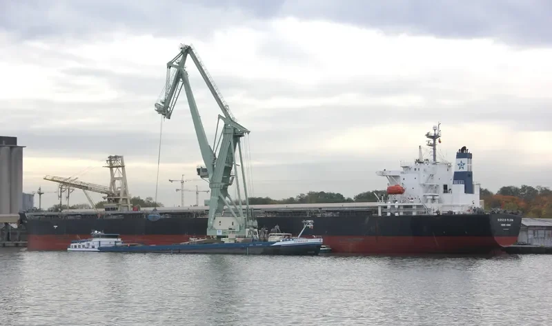 ROSCO PLUM Bulk Carrier IMO 9294496 photo 4