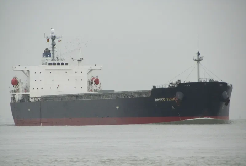 ROSCO PLUM Bulk Carrier IMO 9294496 photo 5