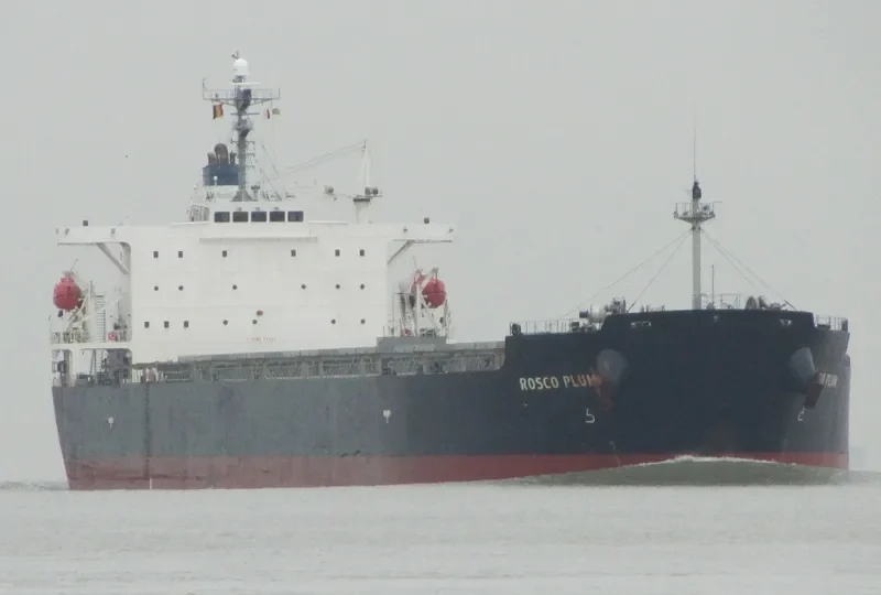 ROSCO PLUM Bulk Carrier IMO 9294496 photo 6