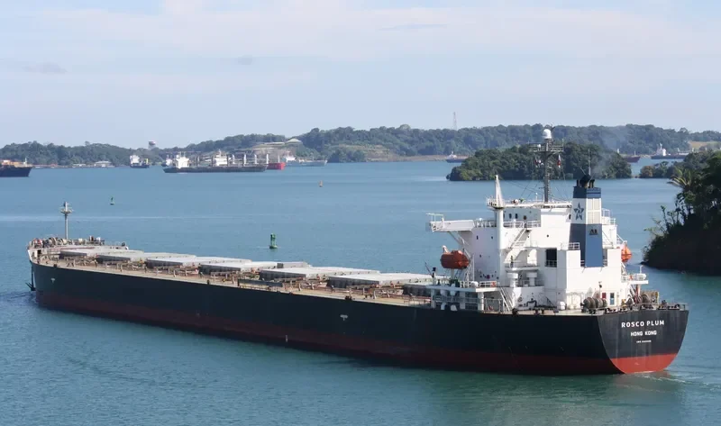ROSCO PLUM Bulk Carrier IMO 9294496 photo 8