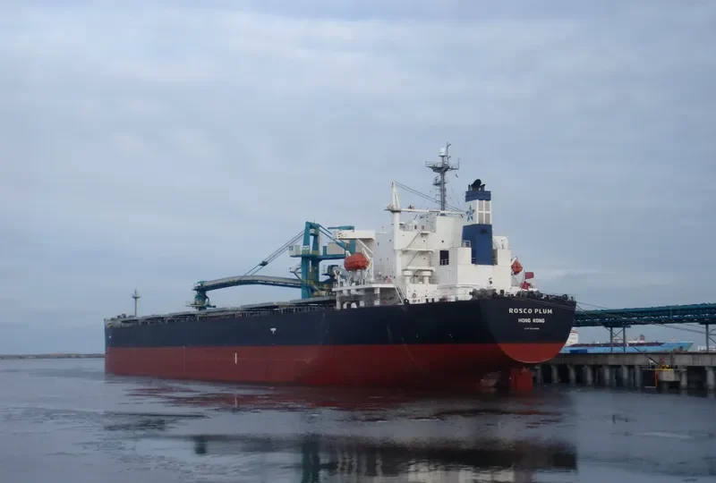 ROSCO PLUM Bulk Carrier IMO 9294496 photo 10