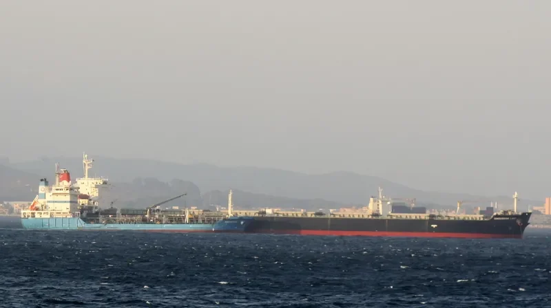 BLESSED LUCK Bulk Carrier IMO 9294501