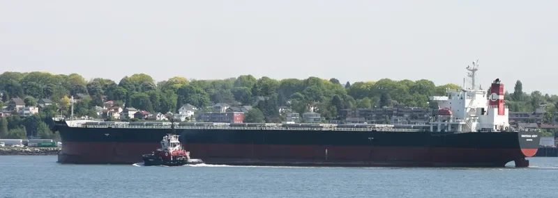 BLESSED LUCK Bulk Carrier IMO 9294501 photo 5
