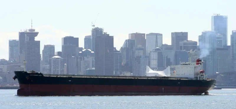 BLESSED LUCK Bulk Carrier IMO 9294501 photo 6