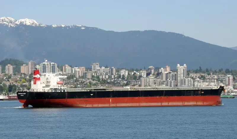 BLESSED LUCK Bulk Carrier IMO 9294501 photo 8