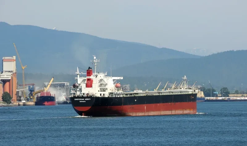 BLESSED LUCK Bulk Carrier IMO 9294501 photo 9