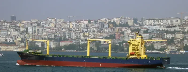 AS PATRIA Container Ship IMO 9294525 photo 6